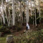 Adelaide Hills Forest Elopements